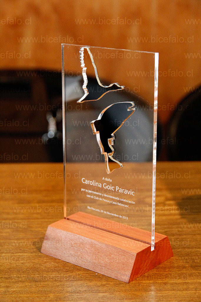 Trofeo acrilico corte calado y grabado