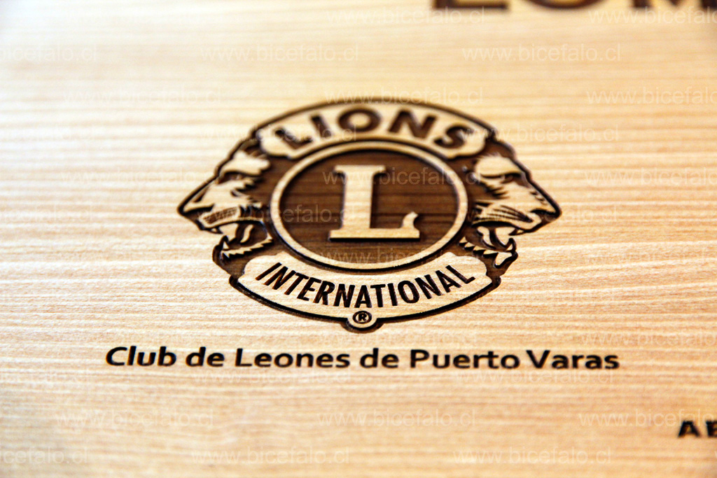 impresion bajo relieve en madera