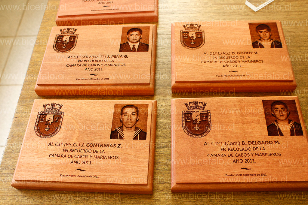 Placa recordatoria funcionarios armada de chile con foto